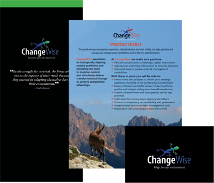 Changewise Logos and Branding